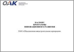 ПАСПОРТ ПРОГРАММЫ ИННОВАЦИОННОГО РАЗВИТИЯ - ОАО "Объединенная авиастроительная корпорация"