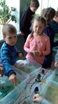 Сегодня в номере: Летний отдых по максимуму в отряде "Максимум"
