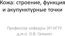 Кожа: строение, функция и акупунктурные точки - Профессор кафедры ЭП НГТУ д.м.н. О.В. Гришин