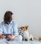 БИЗНЕС-СЕЗОН 2018-2019: тренды и новые продукты - Imho.ru