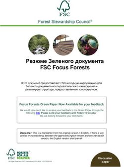 Резюме Зеленого документа FSC Focus Forests