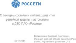 О текущем состоянии и планах развития релейной защиты и автоматики в ДЗО ПАО "Россети" 06.12.2018