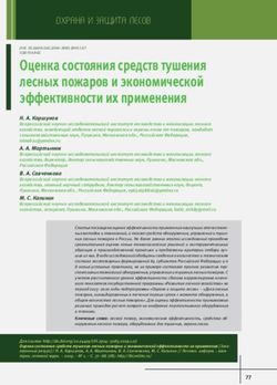 Оценка состояния средств тушения лесных пожаров и экономической эффективности их применения
