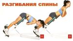 ПРОФИЛАКТИКА И ЛЕЧЕНИЕ БОЛИ В СПИНЕ В РАЗЛИЧНЫХ ПРОФЕССИОНАЛЬНЫХ ГРУППАХ
