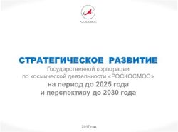 На период до 2025 года и перспективу до 2030 года - Государственной корпорации по космической деятельности "РОСКОСМОС" - Роскосмос