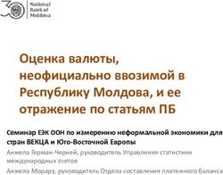Оценка валюты, неофициально ввозимой в Республику Молдова, и ее отражение по статьям ПБ