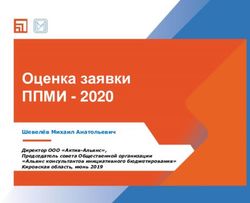 Оценка заявки ППМИ 2020 - Шевелѐв Михаил Анатольевич Директор ООО "Актив-Альянс", Председатель совета Общественной организации "Альянс ...