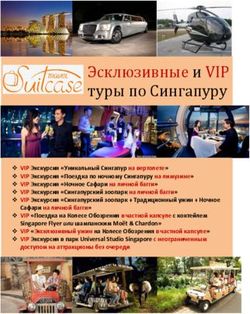 Эсклюзивные и VIP туры по Сингапуру