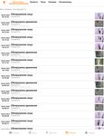 Мобильный клиент на базе операционной системы iOS. Руководство Пользователя приложением AxxonNet - Обновлено 03/03/2021