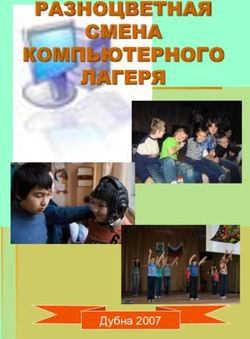 РАЗНОЦВЕТНАЯ СМЕНА КОМПЬЮТЕРНОГО ЛАГЕРЯ - Дубна 2007 - Гимназия 8 г. Дубны