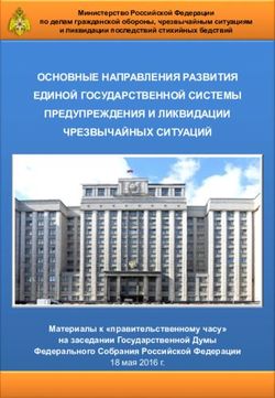ОСНОВНЫЕ НАПРАВЛЕНИЯ РАЗВИТИЯ ЕДИНОЙ ГОСУДАРСТВЕННОЙ СИСТЕМЫ ПРЕДУПРЕЖДЕНИЯ И ЛИКВИДАЦИИ ЧРЕЗВЫЧАЙНЫХ СИТУАЦИЙ - МЧС России