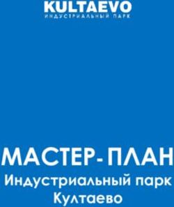 МАСТЕР-ПЛАН Индустриальный парк Култаево