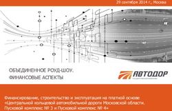 ОБЪЕДИНЕННОЕ РОУД-ШОУ. ФИНАНСОВЫЕ АСПЕКТЫ - Финансирование, строительство и эксплуатация на платной основе "Центральной кольцевой автомобильной ...