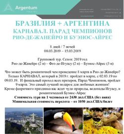БРАЗИЛИЯ + АРГЕНТИНА КАРНАВАЛ. ПАРАД ЧЕМПИОНОВ РИО-ДЕ-ЖАНЕЙРО И БУЭНОС-АЙРЕС - Argentum