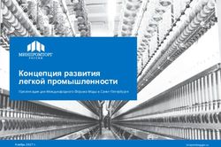 Концепция развития легкой промышленности
