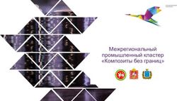 Межрегиональный промышленный кластер "Композиты без границ" - Межрегиональный промышленный кластер "Композиты без границ"
