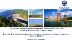 ПОДГОТОВКА К ПРОХОЖДЕНИЮ СУБЪЕКТАМИ ЭЛЕКТРОЭНЕРГЕТИКИ СЗФО ОТОПИТЕЛЬНОГО СЕЗОНА 2019-2020 ГОДОВ - Директор Департамента оперативного контроля и ...