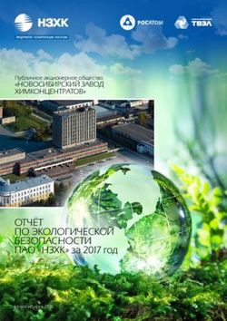 ОТЧЁТ ПО ЭКОЛОГИЧЕСКОЙ БЕЗОПАСНОСТИ - ПАО "НЗХК" за 2017 год - "НОВОСИБИРСКИЙ ЗАВОД ХИМКОНЦЕНТРАТОВ"