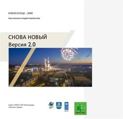 СНОВА НОВЫЙ Версия 2.0 - НОВОПОЛОЦК 2040 - Полоцкая Волна