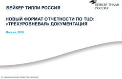 БЕЙКЕР ТИЛЛИ РОССИЯ НОВЫЙ ФОРМАТ ОТЧЕТНОСТИ ПО ТЦО: "ТРЕХУРОВНЕВАЯ" ДОКУМЕНТАЦИЯ - Москва, 2018 - Бейкер Тилли