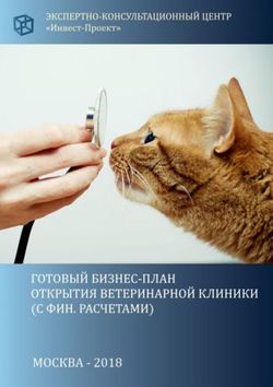 Демо-версия бизнес-плана ветеринарной клиники