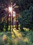 УВАЖАЕМЫЕ ВЕТЕРАНЫ, БОЕВЫЕ ДРУЗЬЯ!