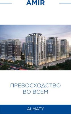 AMIR - ПРЕВОСХОДСТВО ВО ВСЕМ ALMATY - BI-Group