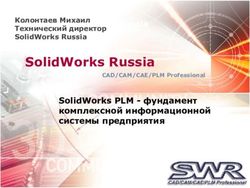 SolidWorks Russia Максимович Мария - isicad