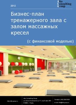 Бизнес-план тренажерного зала с залом массажных кресел 2012 - (с финансовой моделью)