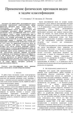 Применение физических признаков видео к задаче классификации